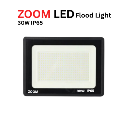 30 Watt IP65 Flood Light