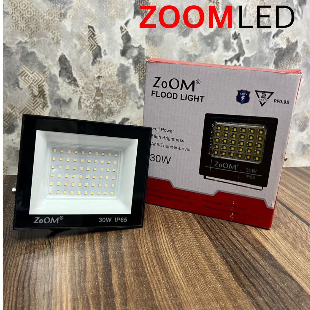 30 Watt IP65 Flood Light